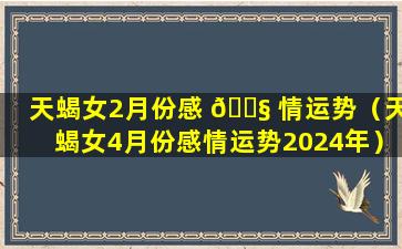 天蝎女2月份感 🐧 情运势（天蝎女4月份感情运势2024年）